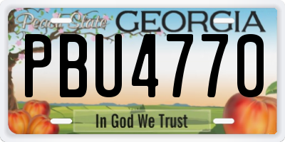 GA license plate PBU4770