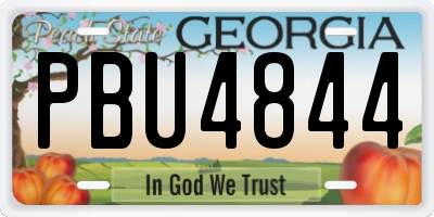 GA license plate PBU4844