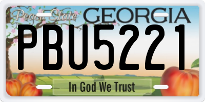 GA license plate PBU5221