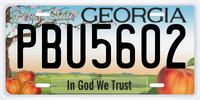 GA license plate PBU5602