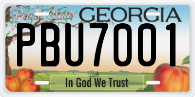 GA license plate PBU7001