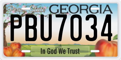 GA license plate PBU7034