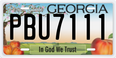 GA license plate PBU7111