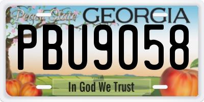 GA license plate PBU9058