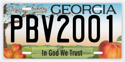 GA license plate PBV2001