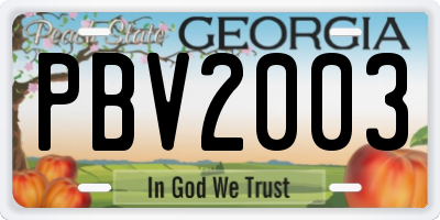 GA license plate PBV2003