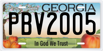 GA license plate PBV2005