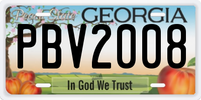 GA license plate PBV2008