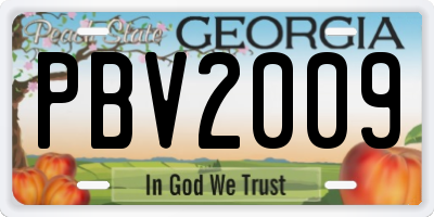 GA license plate PBV2009
