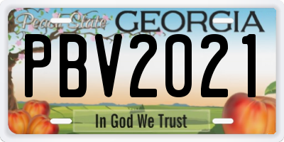 GA license plate PBV2021