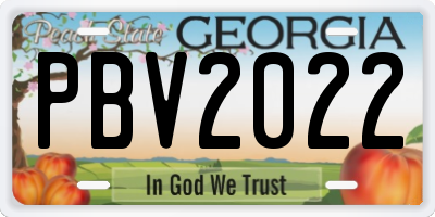 GA license plate PBV2022