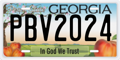 GA license plate PBV2024
