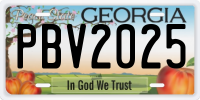 GA license plate PBV2025