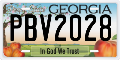 GA license plate PBV2028