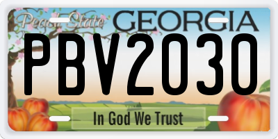 GA license plate PBV2030