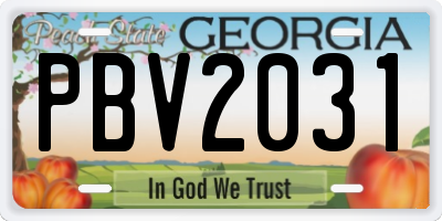 GA license plate PBV2031