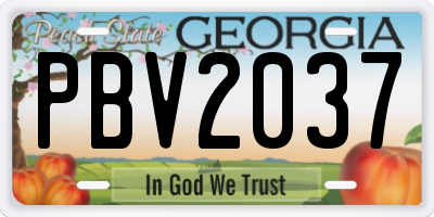 GA license plate PBV2037