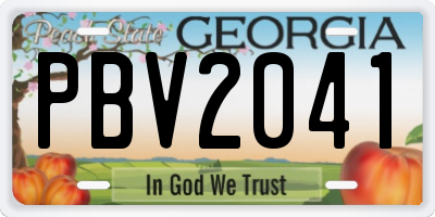 GA license plate PBV2041