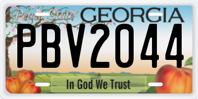 GA license plate PBV2044