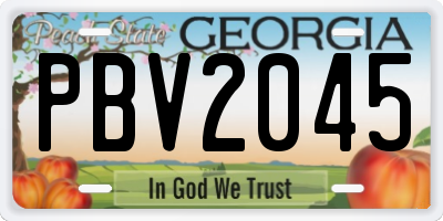 GA license plate PBV2045