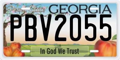 GA license plate PBV2055