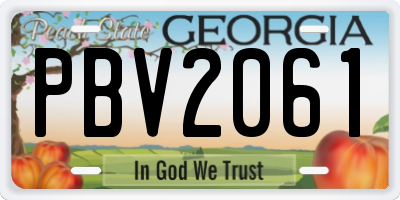 GA license plate PBV2061