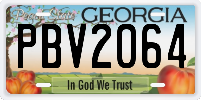 GA license plate PBV2064