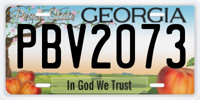 GA license plate PBV2073