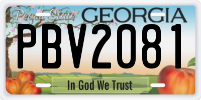 GA license plate PBV2081