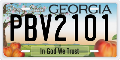 GA license plate PBV2101