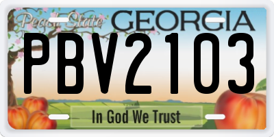 GA license plate PBV2103