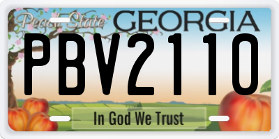 GA license plate PBV2110