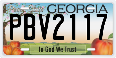 GA license plate PBV2117