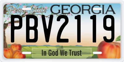 GA license plate PBV2119