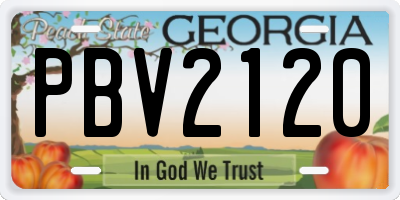 GA license plate PBV2120