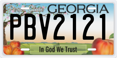 GA license plate PBV2121