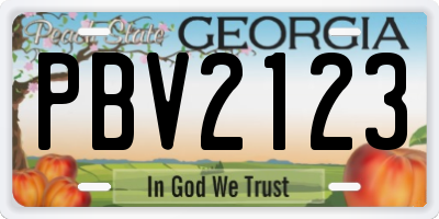 GA license plate PBV2123