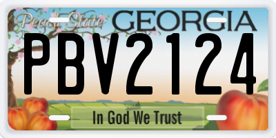 GA license plate PBV2124
