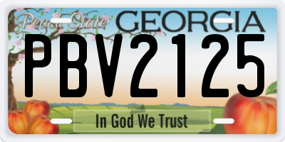 GA license plate PBV2125