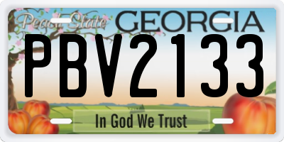 GA license plate PBV2133