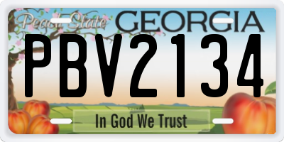 GA license plate PBV2134