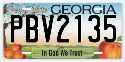 GA license plate PBV2135