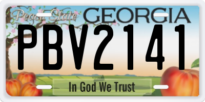 GA license plate PBV2141