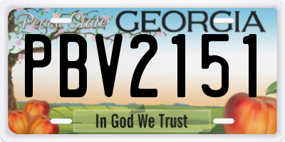 GA license plate PBV2151