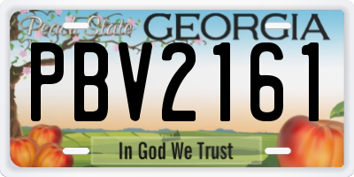 GA license plate PBV2161
