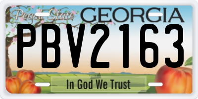 GA license plate PBV2163