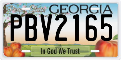 GA license plate PBV2165