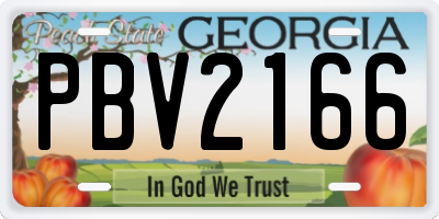 GA license plate PBV2166