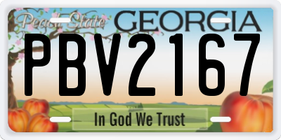 GA license plate PBV2167