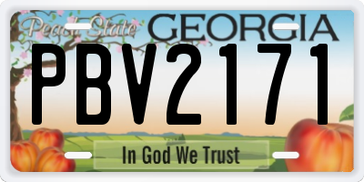 GA license plate PBV2171